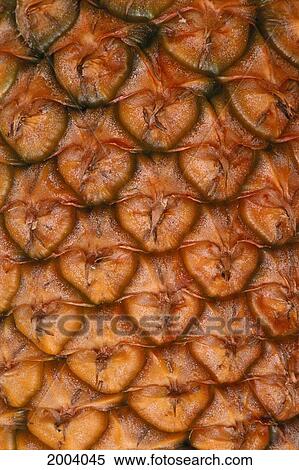 Stock Photography - Extreme Close-Up Of Single Pineapple Fruit Skin, Detail. Fotosearch