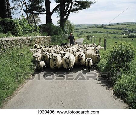 Eype, West Dorset, Uk View Large Photo Image Stock Photograph - Eype, West Dorset, Uk. Fotosearch