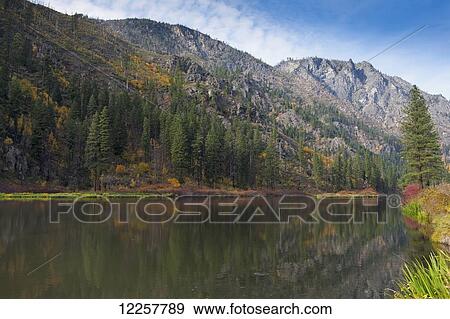 Stock Photo - Fall colors and North Cascade Mountains, reflecting in Skinny Creek along Highway 2, Wenatchee National Forest, Washington State, USA. Fotosearch