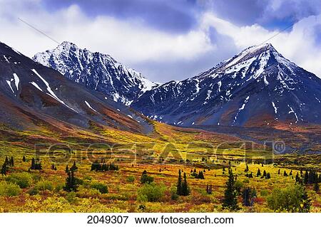 Stock Photo - Fall Colours And Auriol Range, Kluane National Park, Yukon. Fotosearch