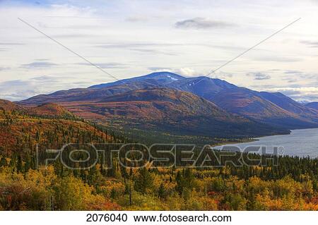 Fall Colours Surrounding Fish Lake; Whitehorse Yukon Canada View Large Photo Image Stock Image - Fall Colours Surrounding Fish Lake; Whitehorse Yukon Canada. Fotosearch
