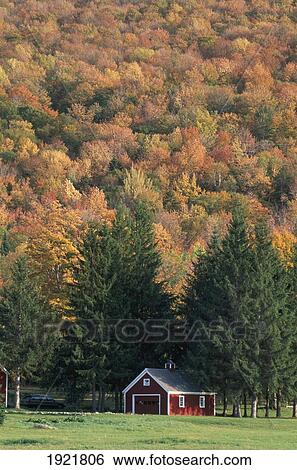 Fall Foliage, Weston View Large Photo Image Stock Photograph - Fall Foliage, Weston. Fotosearch
