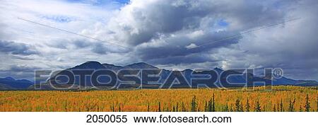 Fall Near Pelly Mountains Near Ross River, Yukon View Large Photo Image Stock Photography - Fall Near Pelly Mountains Near Ross River, Yukon. Fotosearch