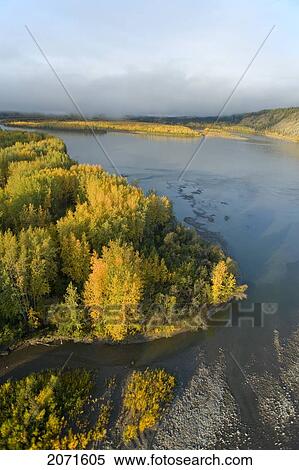 Fall On The Yukon River At Sunrise, Confluence Of Klondike River And Yukon River, Yukon View Large Photo Image Stock Photography - Fall On The Yukon River At Sunrise, Confluence Of Klondike River And Yukon River, Yukon. Fotosearch