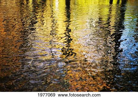 Fall Spirits, Rhode Island, Bristol, Blithewold, Colorful Reflections On Water. View Large Photo Image Stock Photo - Fall Spirits, Rhode Island, Bristol, Blithewold, Colorful Reflections On Water.. Fotosearch