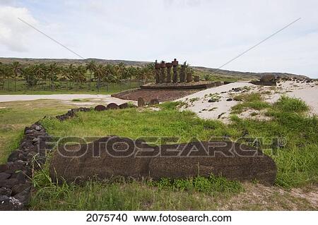Stock Image - Fallen Moai And Ahu Nau Nau Moais Restored By The Archaeologist Sergio Rapu At Anakena Beach, Rapa Nui (Easter Island), Chile. Fotosearch