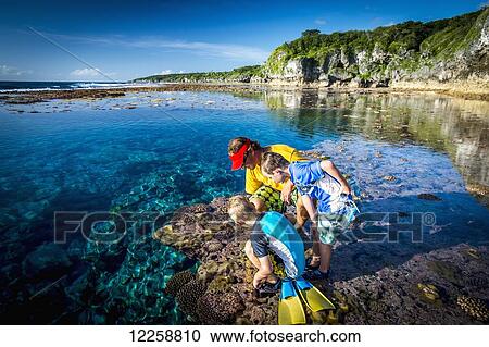 Family exploring the reef that rings Niue Island; Niue View Large Photo Image Stock Image - Family exploring the reef that rings Niue Island; Niue. Fotosearch