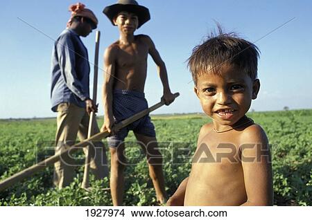 Picture - Family Farming; Cambodia. Fotosearch