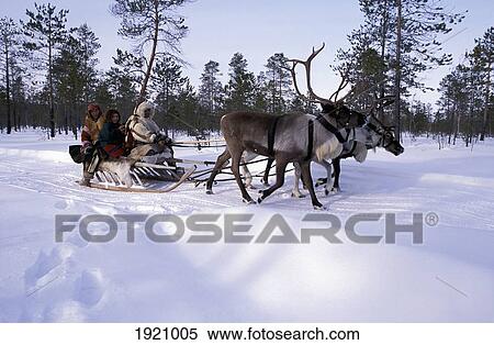 Family From Khanty Tribe & Reindeer, Snow And Pine Trees, Siberia, Russia. The Arctic Circle View Large Photo Image Stock Photography - Family From Khanty Tribe & Reindeer, Snow And Pine Trees, Siberia, Russia. The Arctic Circle. Fotosearch