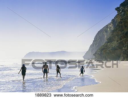 Stock Image - Family Of Four Walking On Beach, Rear View. Fotosearch