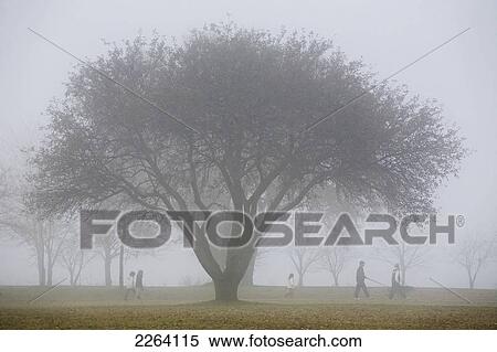 Family Walking Through Park In The Autumn Mist; Ontario Canada View Large Photo Image Stock Photography - Family Walking Through Park In The Autumn Mist; Ontario Canada. Fotosearch