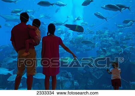 Picture - Family Watching Fish In Aquarium, Atlantis The Palm Hotel; Dubai, United Arab Emirates. Fotosearch