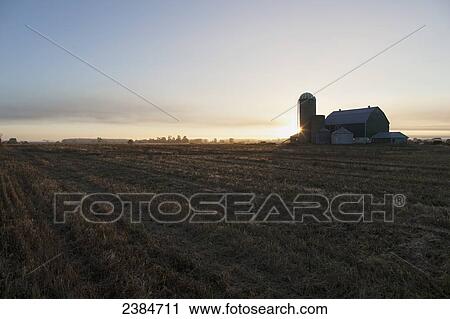 Farm field at dawn; Caledon, Ontario, Canada View Large Photo Image Stock Image - Farm field at dawn; Caledon, Ontario, Canada. Fotosearch
