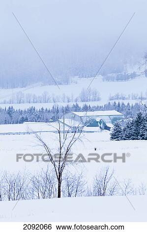 Stock Photograph - Farm Structure In Fog And Snow; Saint-Adrien-D'irlande Quebec Canada. Fotosearch