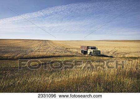 Stock Photograph - Farm Truck In Field; Saskatchewan, Canada. Fotosearch