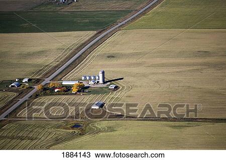Stock Image - Farm Yard Along A Road With Grain Bins And Harvest Lines In The Fields; Alberta, Canada. Fotosearch