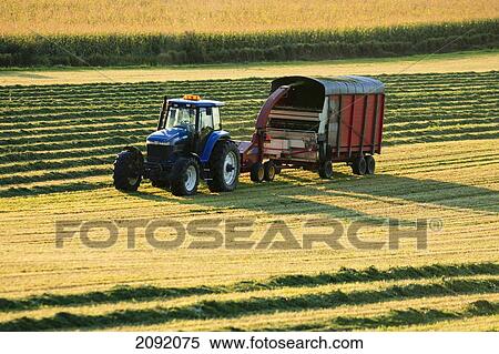 Stock Photography - Farmer Cutting Hay In Field At Sunset; Warwick Quebec Canada. Fotosearch
