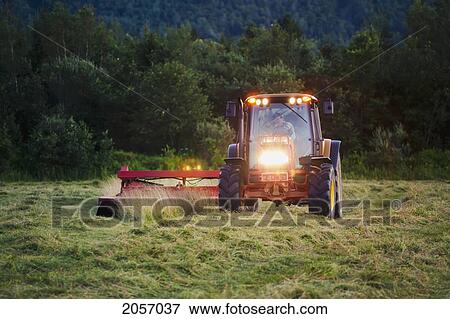 Farmer Cutting Hay In Field Near Charrington, Eastern Townships, Quebec. View Large Photo Image Stock Photo - Farmer Cutting Hay In Field Near Charrington, Eastern Townships, Quebec.. Fotosearch