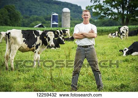 Stock Image - Farmer in pasture with dairy cows; Garrett County, Maryland, United States of America. Fotosearch