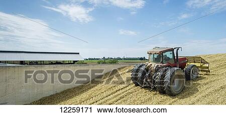 Stock Image - Farmer in red tractor driving up a hill of silage; Ridgley, Maryland, United States of America. Fotosearch