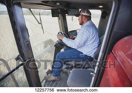 Stock Photograph - Farmer uses technology in combine for soybean harvesting; Minnesota, United States of America. Fotosearch