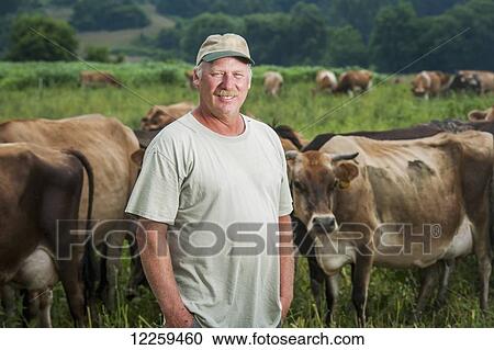Stock Image - Farmer with dairy cows; Long Green, Maryland, United States of America. Fotosearch