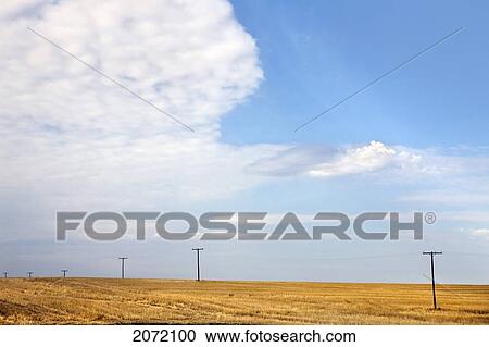 Farmer's Field After The Harvest, Rural Saskatchewan View Large Photo Image Stock Image - Farmer's Field After The Harvest, Rural Saskatchewan. Fotosearch