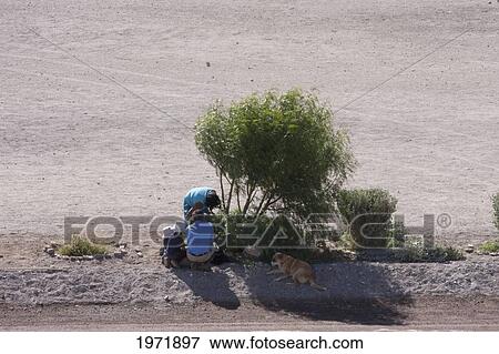 Stock Photo - Farmers Working By A Tree Near Lasana, Antofagasta Region, Chile. Fotosearch