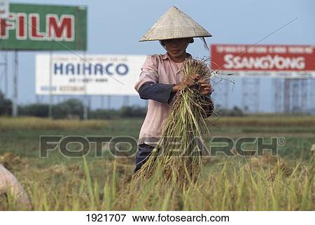Stock Photo - Farming In Front Of Advertsement. Fotosearch