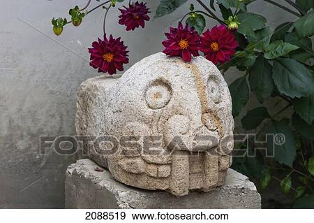 Feline Stone Head On Display In The Site Museum Of Chavin De Huantar, Ancash, Peru View Large Photo Image Stock Photo - Feline Stone Head On Display In The Site Museum Of Chavin De Huantar, Ancash, Peru. Fotosearch