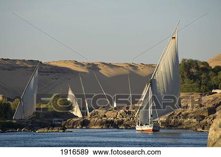 Feluccas And Other Boats On River Nile View Large Photo Image Stock Photo - Feluccas And Other Boats On River Nile. Fotosearch