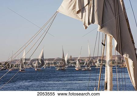 Feluccas On The Nile River, Aswan, Egypt View Large Photo Image Stock Photography - Feluccas On The Nile River, Aswan, Egypt. Fotosearch