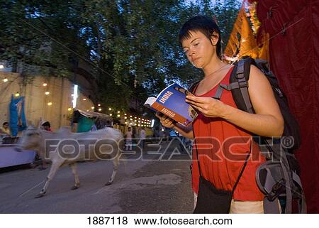 Female Backpacker Reading Guidebook With Cow Passing At Dusk View Large Photo Image Stock Photo - Female Backpacker Reading Guidebook With Cow Passing At Dusk. Fotosearch