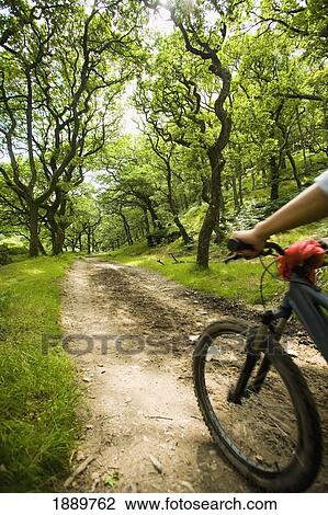 Female Cyclist Riding Through Woods View Large Photo Image Stock Image - Female Cyclist Riding Through Woods. Fotosearch