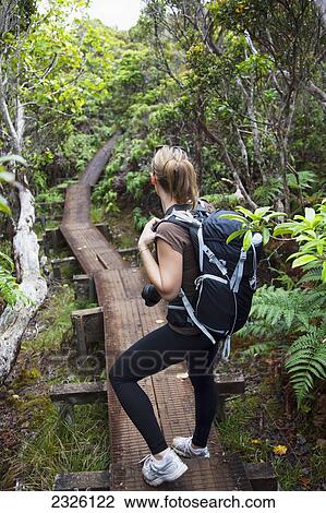Female hiker on Alakai Swamp boardwalk; Kauai, Hawaii, United States of America View Large Photo Image Stock Image - Female hiker on Alakai Swamp boardwalk; Kauai, Hawaii, United States of America. Fotosearch