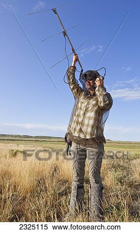 Stock Photography - Female Scientist Searching For Rattlesnakes Via Radio Transmitter, Grasslands National Park, Saskatchewan, Canada. Fotosearch