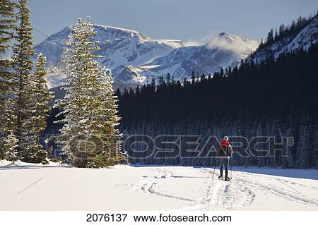 Stock Photo - Female Snowshoeing On Snow Covered Lake With Snow Covered Evergreens And Mountains In The Background And Blue Sky; Lake Louise Alberta Canada. Fotosearch