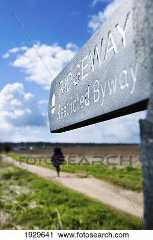 Stock Image - Female Walker On The Ridgeway; Vale Of The White Horse, Oxfordshire, Uk. Fotosearch