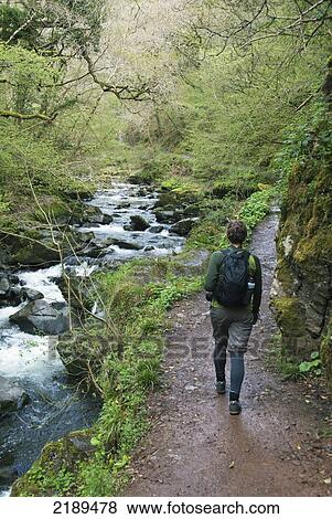 Female Walking Along The Lynmouth River Path, Exmoor, United Kingdom View Large Photo Image Stock Photo - Female Walking Along The Lynmouth River Path, Exmoor, United Kingdom. Fotosearch