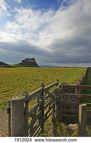 Picture - Fence And Lindisfarne Castle In Distance, Holy Island, Northumberland, Uk. Fotosearch