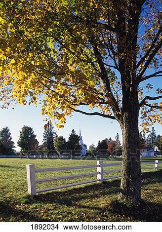 Fence By Tree View Large Photo Image Picture - Fence By Tree. Fotosearch