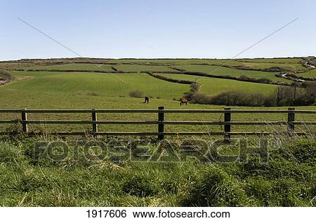 Fence In Field View Large Photo Image Stock Photograph - Fence In Field. Fotosearch
