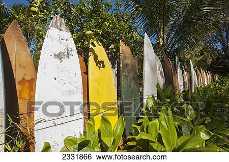 Stock Photograph - Fence made up of surfboards; Maui, Hawaii, United States of America. Fotosearch