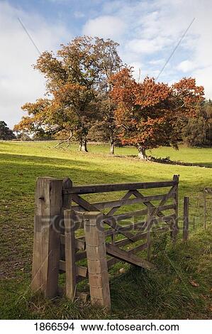 Fence; Northumberland, England View Large Photo Image Picture - Fence; Northumberland, England. Fotosearch