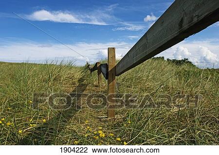 Fence Through Meadow, Jutland, Denmark View Large Photo Image Stock Image - Fence Through Meadow, Jutland, Denmark. Fotosearch