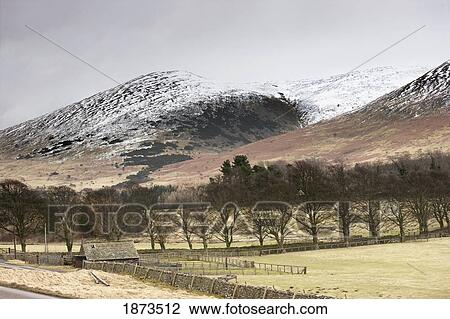 Stock Image - Fences, Trees And A Shed With Snow Covered Hills In The Background; Northumberland, England. Fotosearch