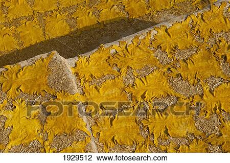 Fez, Morocco View Large Photo Image Stock Image - Fez, Morocco. Fotosearch