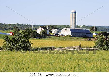Picture - Fields And Farm, Bas-Saint-Laurent Region, Saint-Fabien, Quebec. Fotosearch