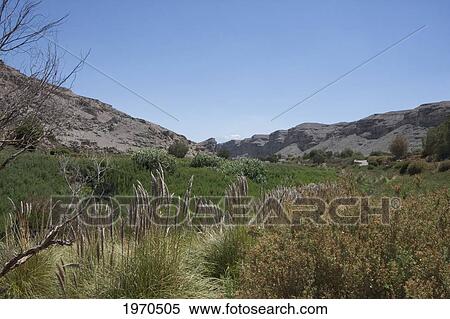 Stock Photography - Fields By The Loa River Near Lasana, Antofagasta Region, Chile. Fotosearch