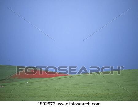 Stock Image - Fields In Seven Sisters Country Park. Fotosearch